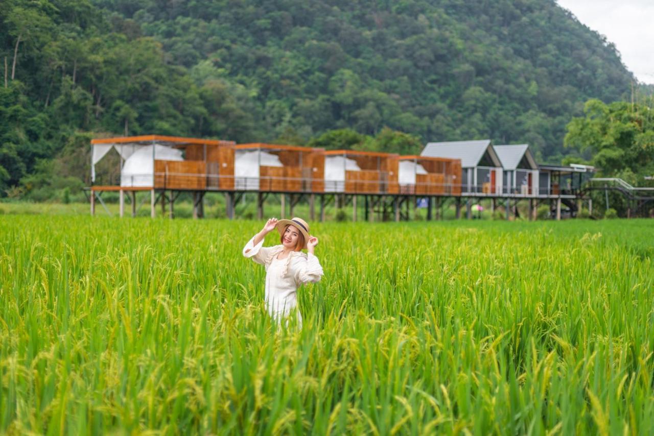 เนเจอร์วัลเล่ย์แคมป์ ปางมะผ้า Hotel Ngoại thất bức ảnh