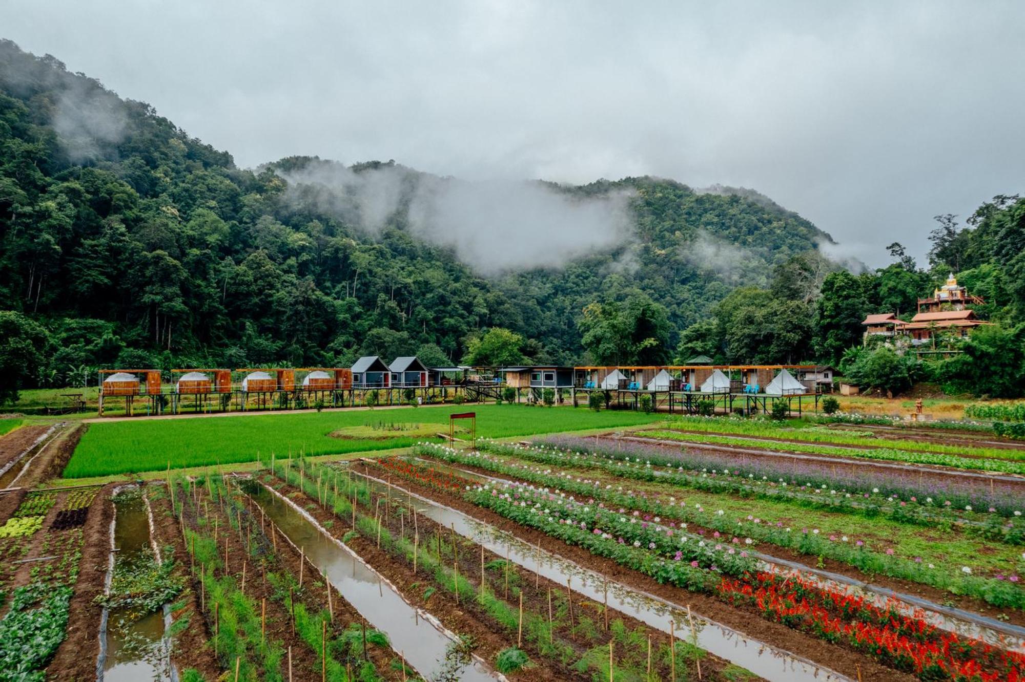 เนเจอร์วัลเล่ย์แคมป์ ปางมะผ้า Hotel Ngoại thất bức ảnh