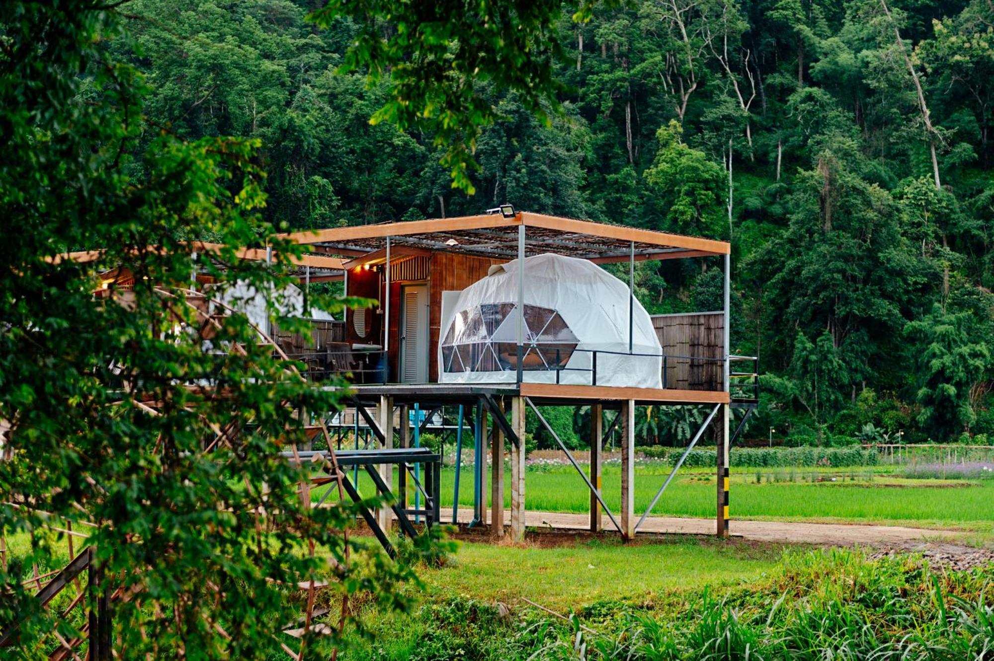 เนเจอร์วัลเล่ย์แคมป์ ปางมะผ้า Hotel Ngoại thất bức ảnh