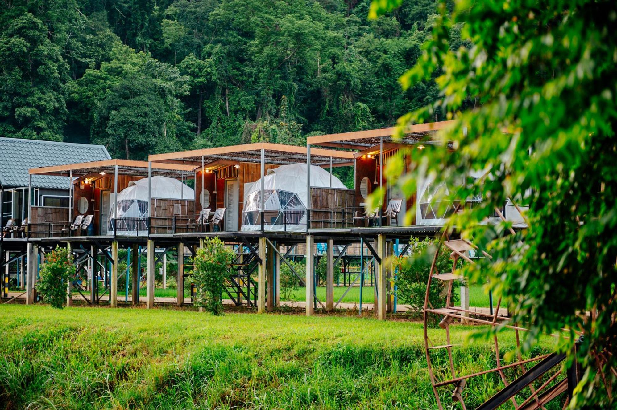 เนเจอร์วัลเล่ย์แคมป์ ปางมะผ้า Hotel Ngoại thất bức ảnh