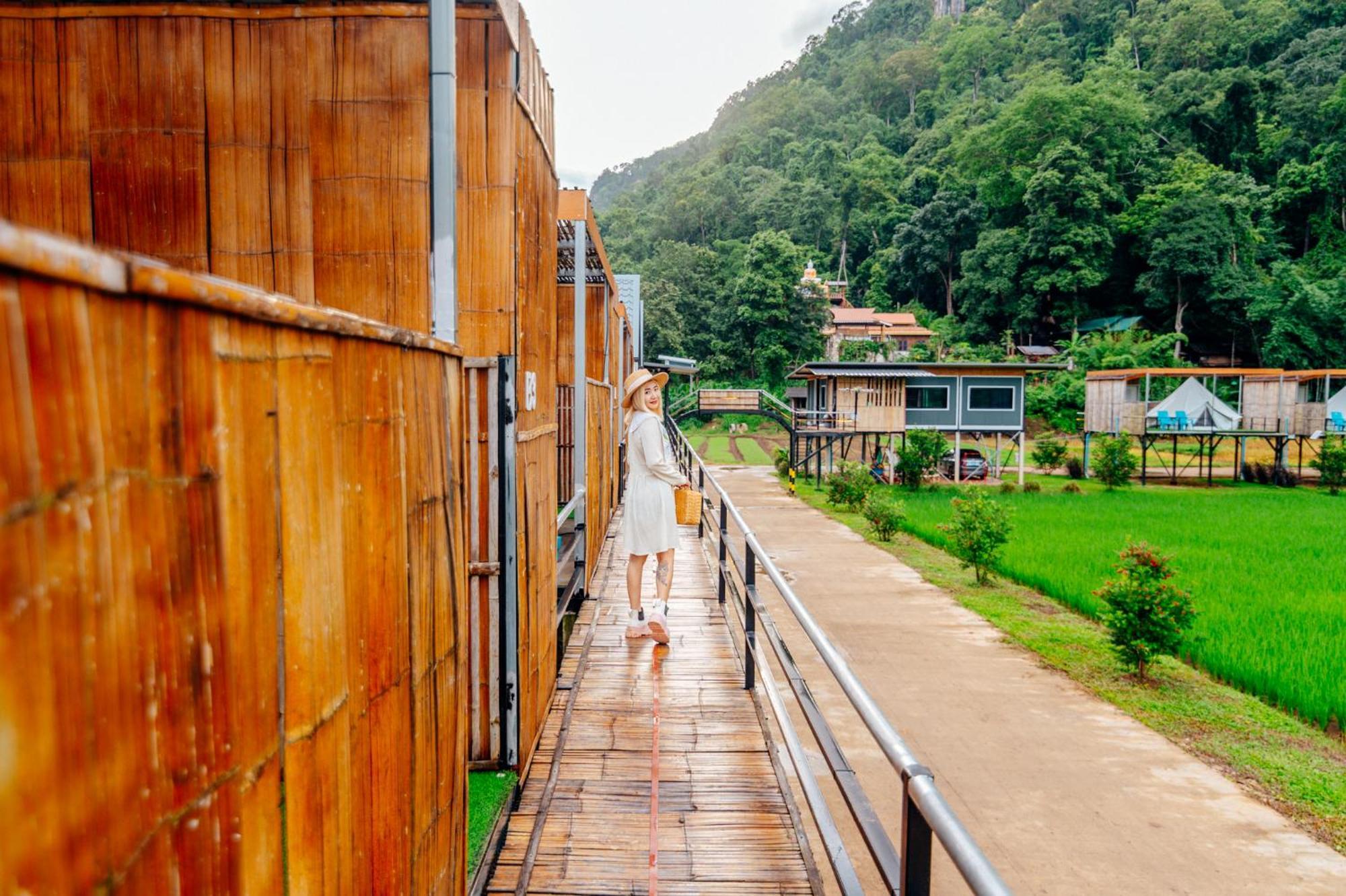 เนเจอร์วัลเล่ย์แคมป์ ปางมะผ้า Hotel Ngoại thất bức ảnh