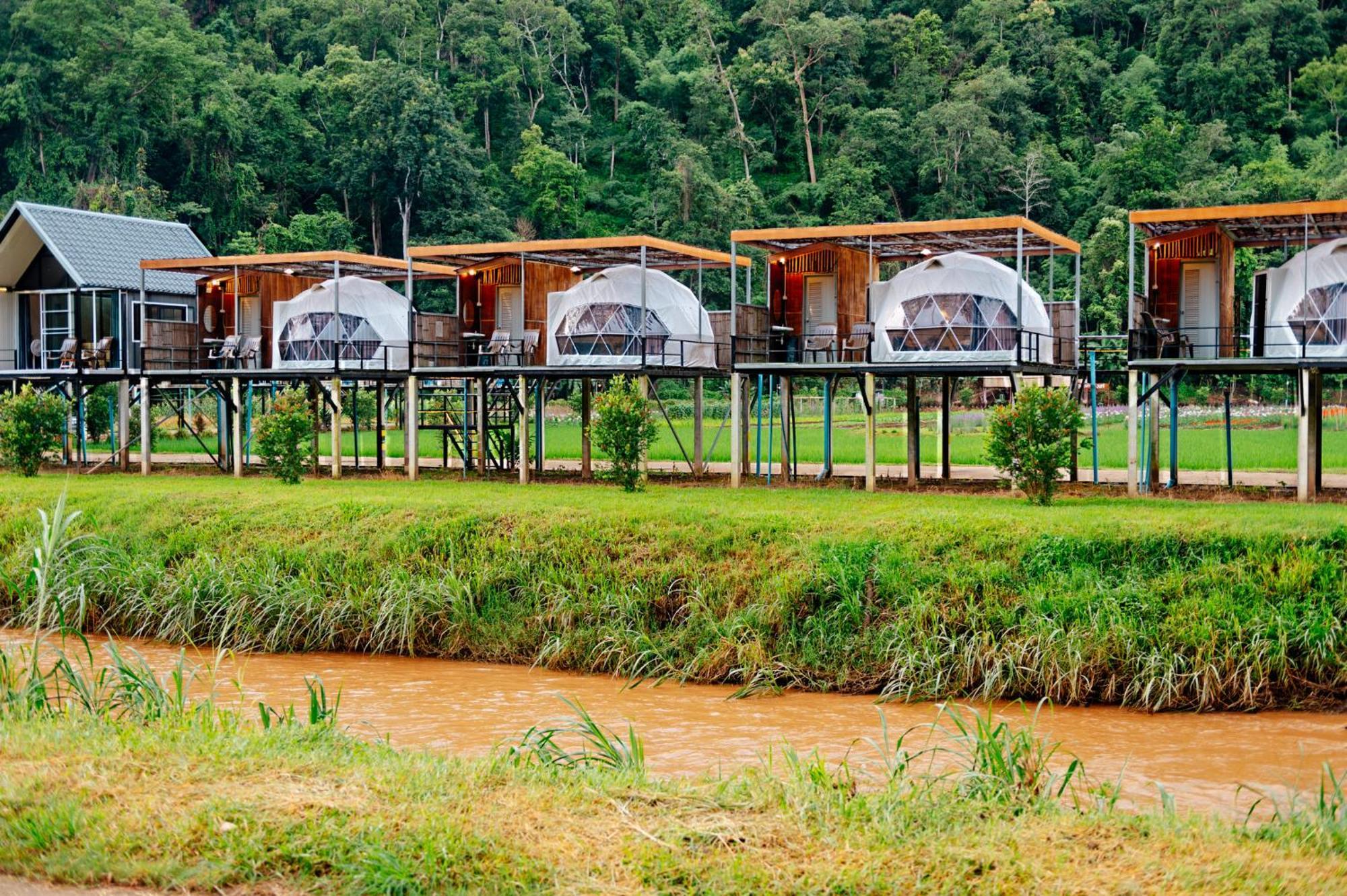 เนเจอร์วัลเล่ย์แคมป์ ปางมะผ้า Hotel Ngoại thất bức ảnh